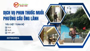 Dịch vụ diệt côn trùng phường Cầu Ông Lãnh