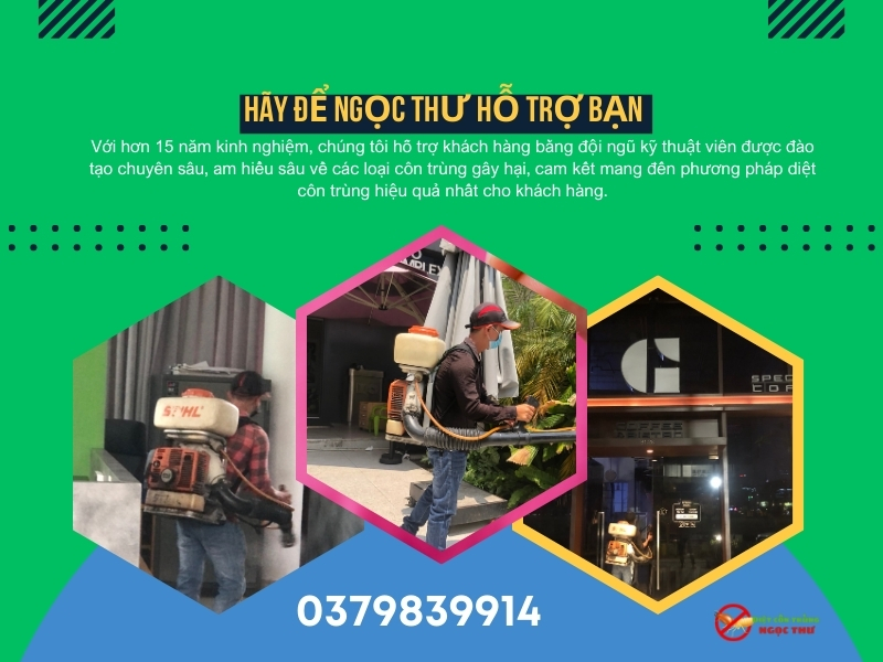 Dịch vụ phun thuốc muỗi phường Cầu Ông Lãnh, an toàn, thiết bị hiện đại, phục vụ 24/7