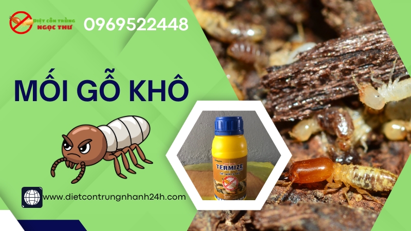 Mối gỗ khô