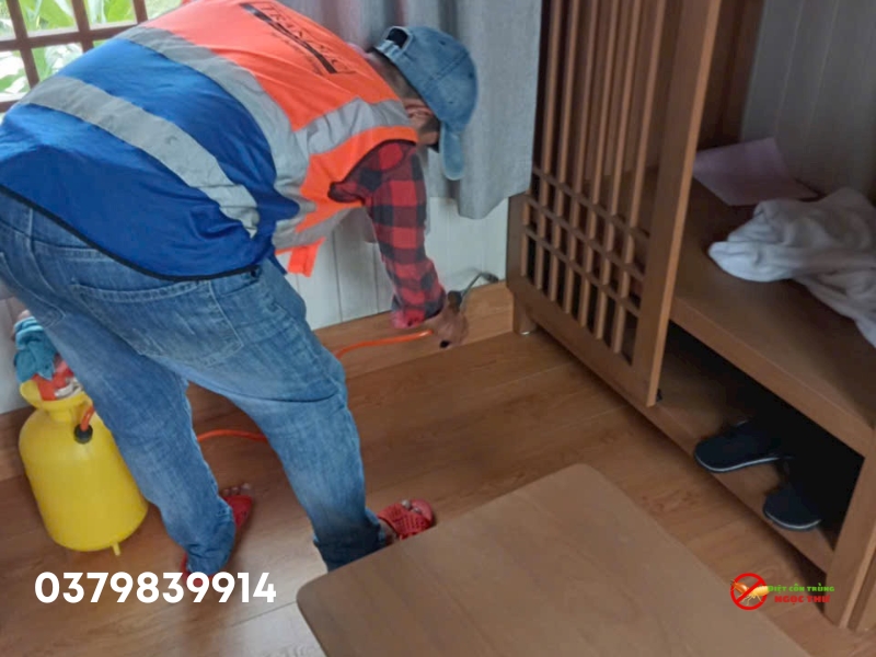 Dịch vụ diệt mối gỗ khô Ngọc Thư
