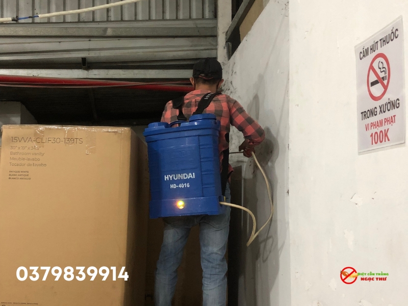 Tác hại của mối gỗ khô
