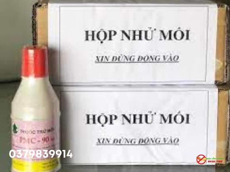 Cách đặt hộp nhử mối để đạt hiệu quả cao 3 Hộp nhử mối