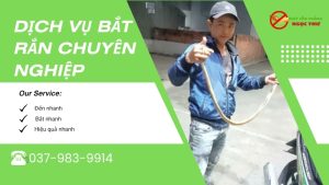 Dịch vụ bắt rắn tại TPHCM