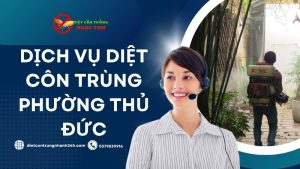 Dịch vụ diệt côn trùng Phường Thủ Đức
