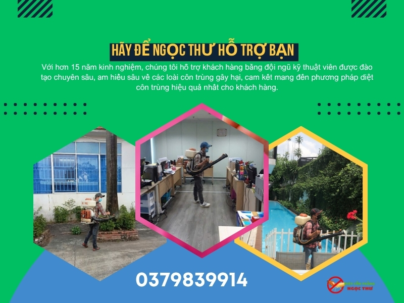 Lợi ích khi chọn Dịch vụ diệt côn trùng phường Thủ Đức của Ngọc Thư