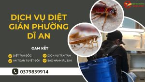 Dịch vụ diệt gián phường Dĩ An