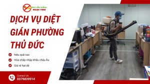 Dịch vụ diệt gián phường Thủ Đức