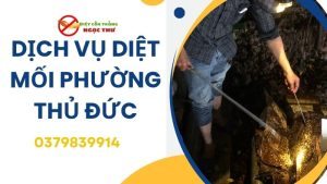 Dịch vụ diệt mối phường Thủ Đức
