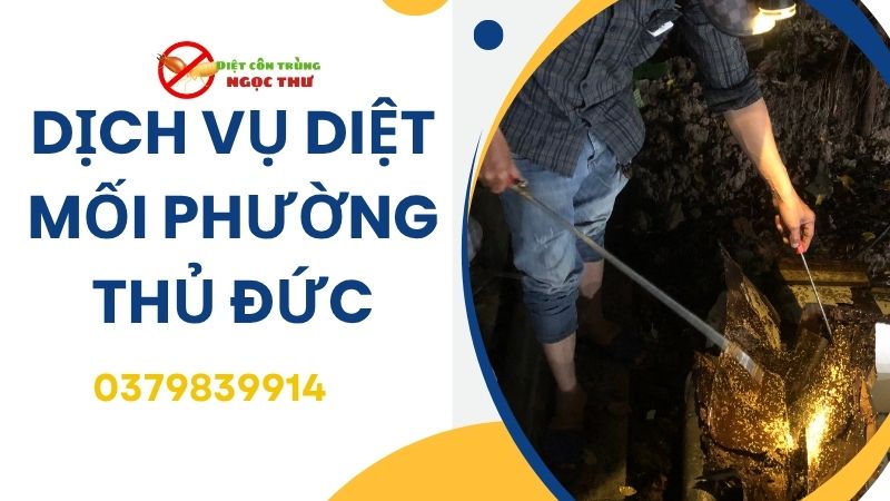 Dịch vụ diệt mối Phường Thủ Đức, làm 1 lần, bảo hành 1 năm 1 Dịch vụ diệt mối phường Thủ Đức
