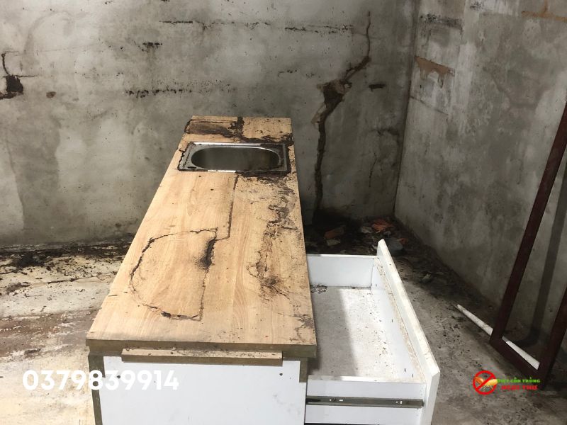 Dịch vụ diệt mối Phường Thủ Đức, làm 1 lần, bảo hành 1 năm 5 Dịch vụ diệt mối phường Thủ Đức, hóa chất nhập khẩu châu âu giúp diệt mối tận gốc