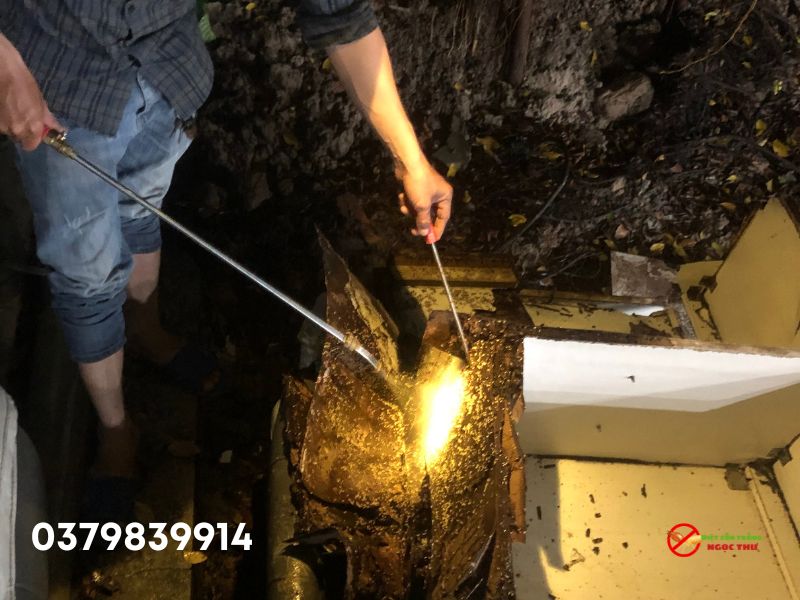 Dịch vụ diệt mối Phường Thủ Đức, làm 1 lần, bảo hành 1 năm 3 Dịch vụ diệt mối phường Thủ Đức, làm 1 lần, bảo hành 1 năm