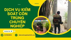 Dịch vụ kiểm soát côn trùng chuyên nghiệp