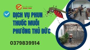 Dịch vụ phun thuốc diệt muỗi phường Thủ Đức