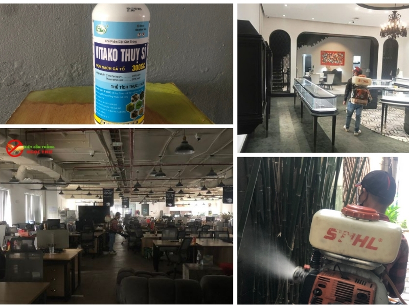 Dịch vụ phun thuốc muỗi Phường Thủ Đức giá rẻ, hóa chất Thụy Sỹ không mùi 3 Dịch vụ phun thuốc Muỗi tại Phường Thủ Đức, TPHCM của Ngọc Thư