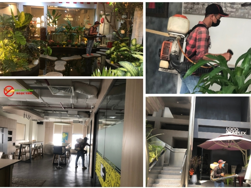 Dịch vụ phun thuốc muỗi Phường Thủ Đức giá rẻ, hóa chất Thụy Sỹ không mùi 2 Dịch vụ diệt Muỗi tại Phường Thủ Đức, TPHCM của Ngọc Thư