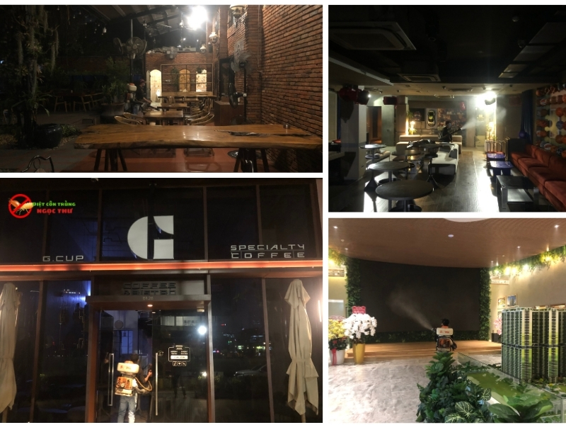 Dịch vụ phun thuốc muỗi Phường Thủ Đức giá rẻ, hóa chất Thụy Sỹ không mùi 4 Dịch vụ phun thuốc Muỗi tại Phường Thủ Đức, TPHCM của Ngọc Thư, sử dụng hóa chất Thụy Sỹ
