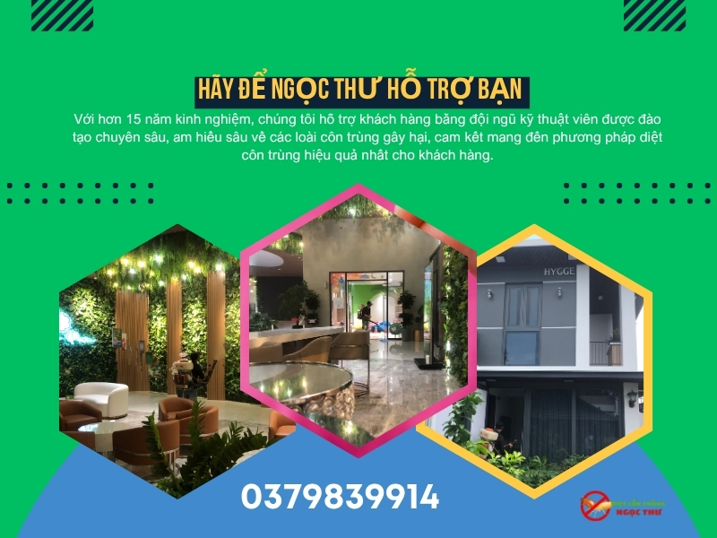 Dịch vụ phun thuốc muỗi Phường Thủ Đức giá rẻ, hóa chất Thụy Sỹ không mùi 5 Dịch vụ phun thuốc Muỗi tại Phường Thủ Đức, TPHCM của Ngọc Thư, giá rẻ, chất lượng cao