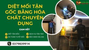 Diệt mối tận gốc bằng hóa chất chuyên dụng