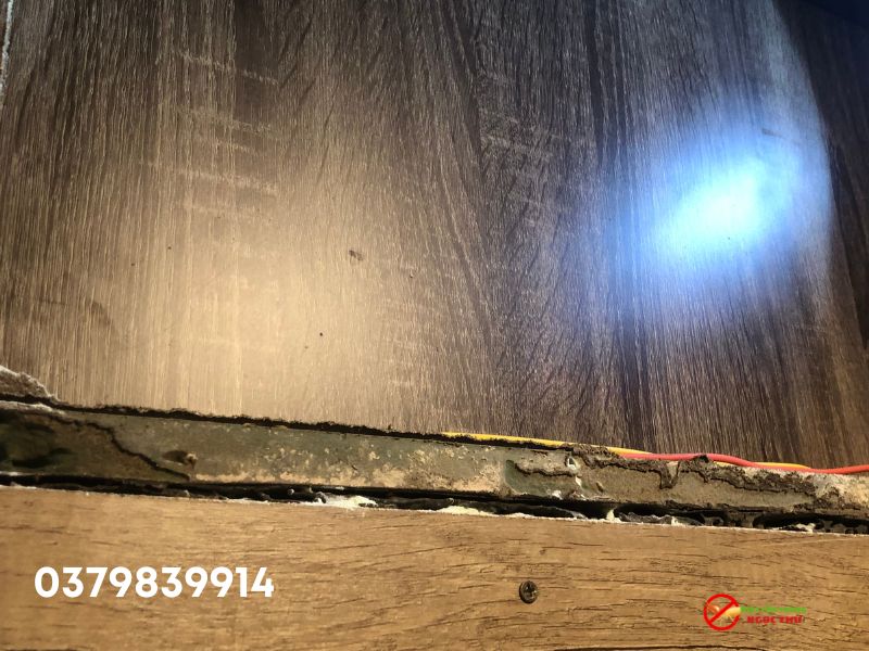 Phương pháp diệt mối tận gốc từ Ngọc Thư