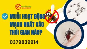 Muỗi hoạt động mạnh nhất vào thời gian nào