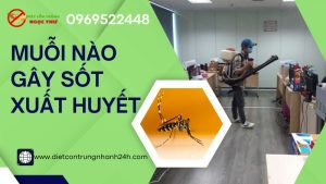 Muỗi nào gây sốt xuất huyết
