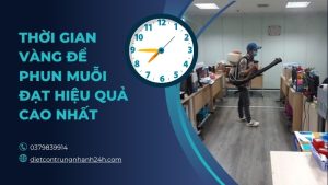 Phun muỗi vào thời gian nào để đạt hiệu quả cao nhất