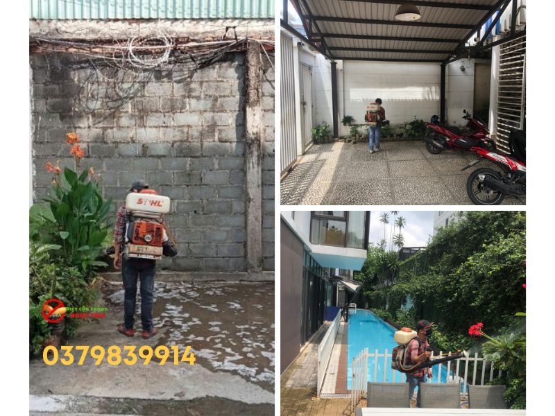 Dịch vụ phun muỗi Ngọc Thư