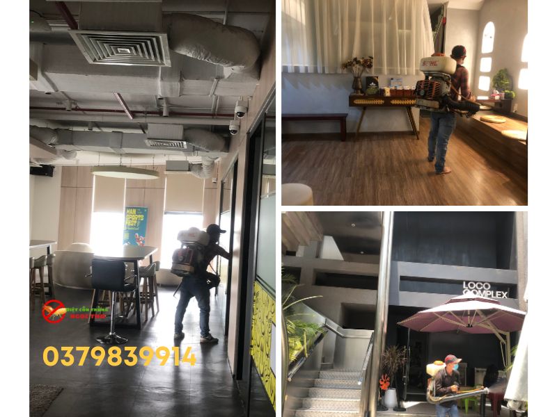 Dịch vụ phun muỗi Ngọc Thư, thời gian vàng để phun muỗi đạt hiệu quả cao