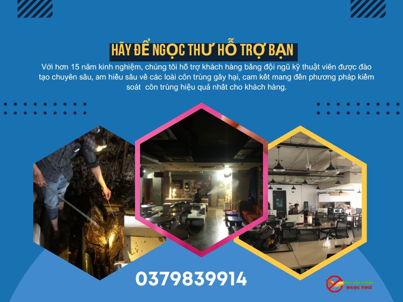 Phương Pháp IPM: Giải Pháp Diệt Côn Trùng Bền Vững Cho Doanh Nghiệp Hiện Đại 4 Kiểm soát côn trunhf bằng Phương pháp IPM  của công ty diệt côn trùng Ngọc Thư