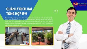 Phương pháp IPM (quản lý dịch hại tổng hợp)