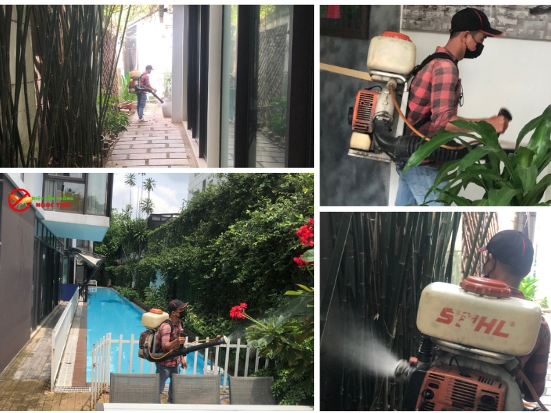 Dịch vụ phun muỗi của công ty diệt côn trùng Ngọc Thư