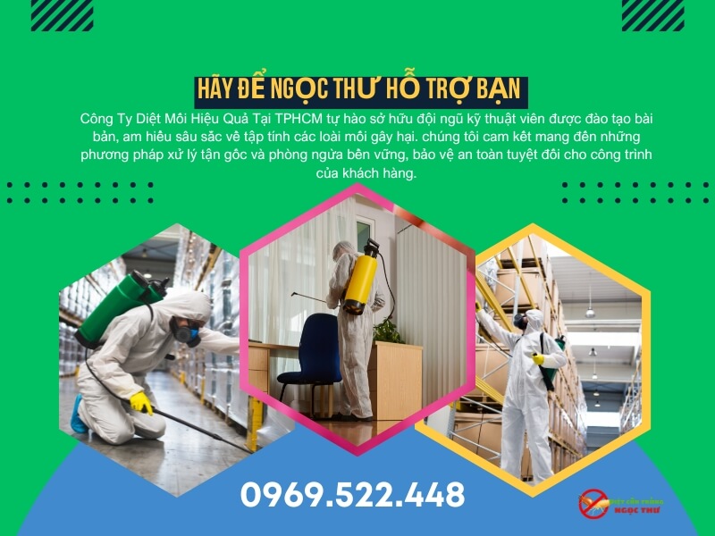 Công ty diệt mối chuyên nghiệp và đáng tin cậy tại TPHCM - Ngọc Thư