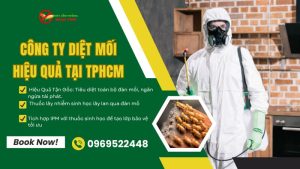 Công ty diệt mối Ngọc Thư tại TPHCM