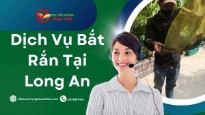 Dịch vụ bắt rắn tại Long An