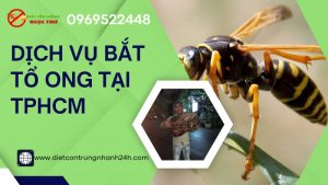 Dịch vụ bắt tổ ong tại TPHCM