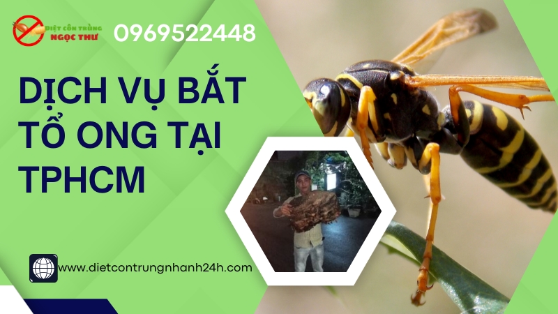 Dịch vụ bắt tổ ong tại TPHCM