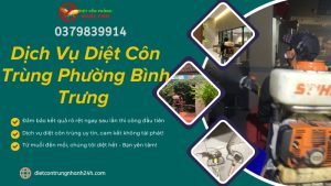 Dịch vụ diệt côn trùng phường Bình Trưng