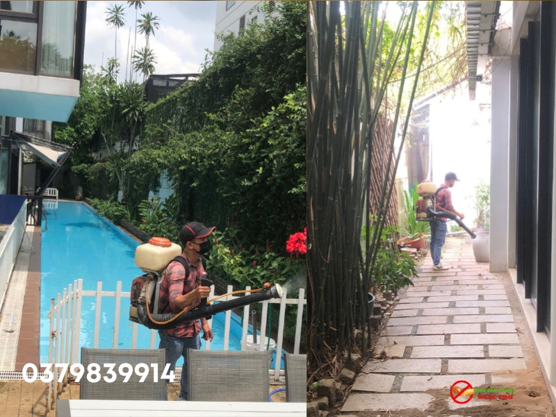 Dịch vụ diệt côn trùng tại phường Bình Trưng