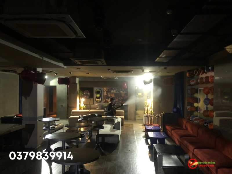 Dịch vụ diệt côn trùng chuyên nghiệp từ Ngọc Thư