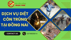 Dịch vụ diệt côn trùng tại Đồng Nai