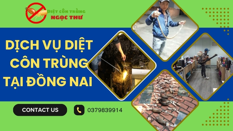 Dịch vụ diệt côn trùng tại Đồng Nai
