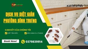 Dịch vụ diệt gián phường Bình Trưng, TPHCM