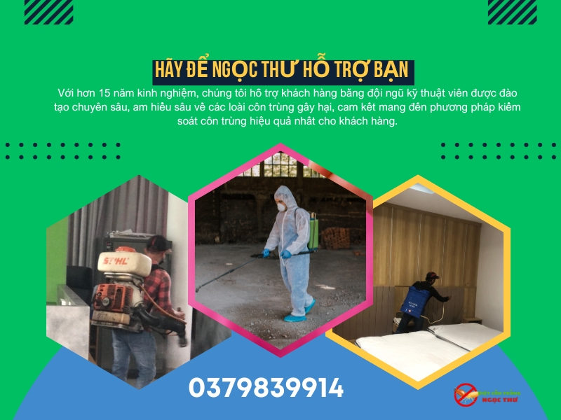 Dịch vụ diệt gián tận gốc tại phường Bình Trưng, TPHCM