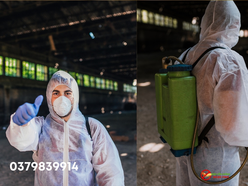 Diệt côn trùng Ngọc Thư cung cấp dịch vụ diệt gián với bảo hành lên đến 6 tháng