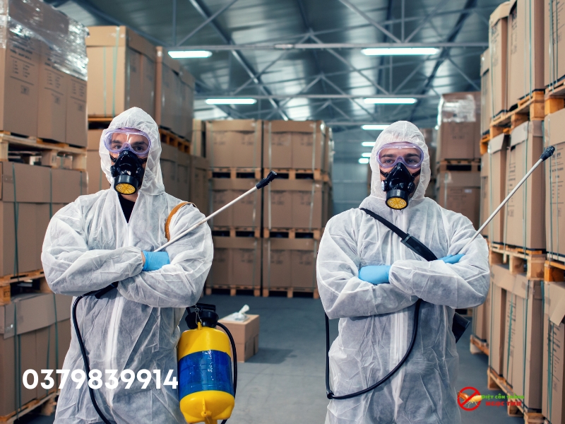 Diệt gián với hóa chất thân thiện môi trường, không mùi.