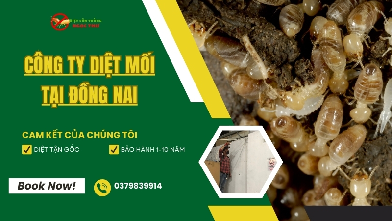 Dịch vụ diệt mối tại Đồng Nai Ngọc Thư diệt tận gốc 100% – Bảo hành 1-10 năm 1 Công ty dịch vụ diệt mối tại Đồng Nai - Ngọc Thư