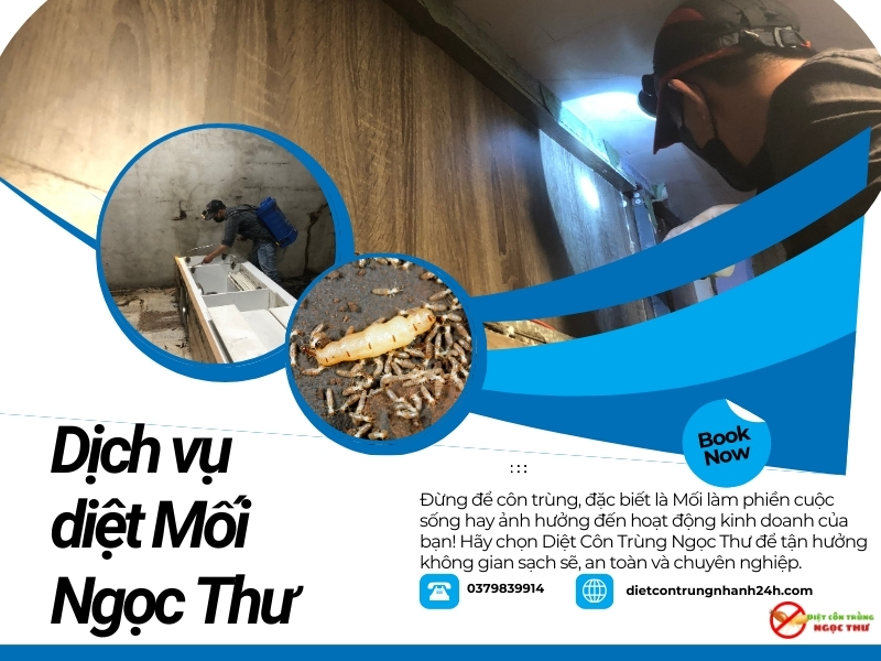 Dịch vụ diệt mối tại Đồng Nai Ngọc Thư diệt tận gốc 100% – Bảo hành 1-10 năm 2 Dịch vụ diệt mối tận gốc tại Đồng Nai