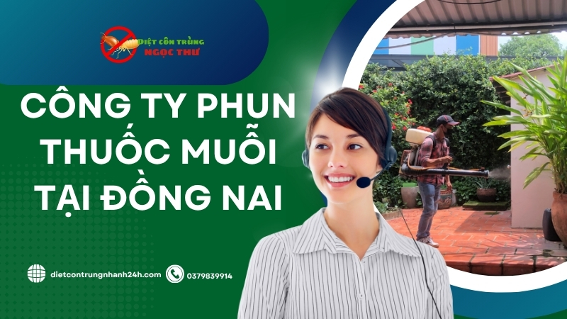 Dịch vụ phun thuốc muỗi tại Đồng Nai