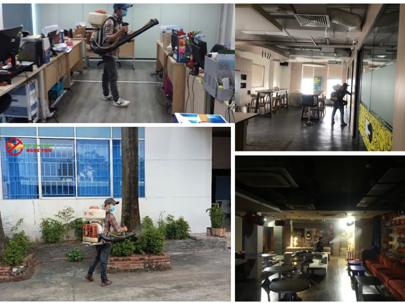 Công ty phun muỗi tại Đồng Nai - Ngọc Thư