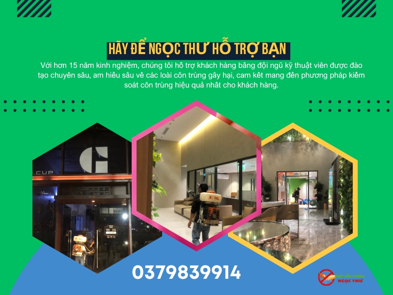 Công ty phun muỗi Ngọc Thư với quy trình phun muỗi đạt chuẩn bộ y tế